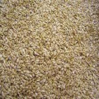 Flax Seed Gold