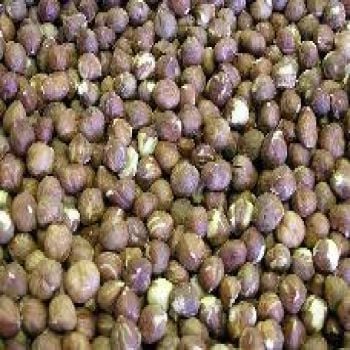 Hazelnuts / Filberts Raw