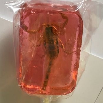 Hotlix Scorpion Lollipop Strawberry