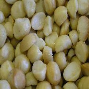Macadamia Nuts Salted