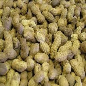 Peanuts In Shell Unsalted