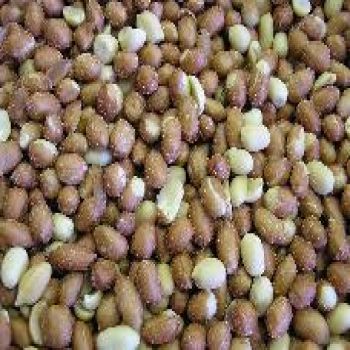 Peanuts - Spanish Peanuts Salted