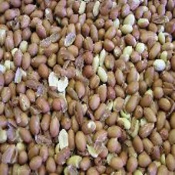 Peanuts - Spanish Peanuts Unsalted