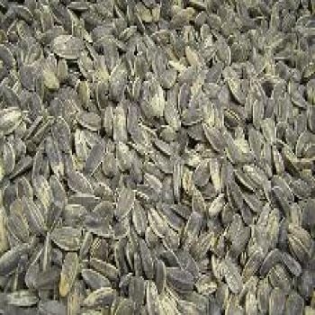 Sunflower Seeds In Shell Salted
