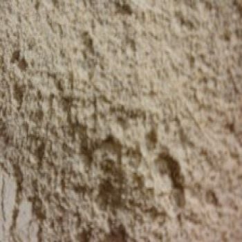 Flour - Whole Wheat Pastry Flour